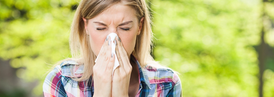 alergias primavera tips dr julio fraomeni